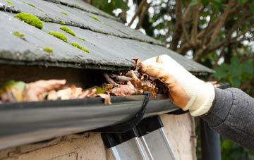gutter cleaning Greenhill